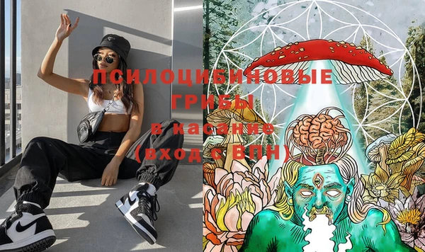 тгк Алексеевка