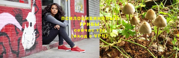 экстази Алексин