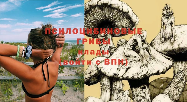 экстази Алексин