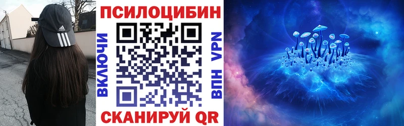 blacksprut маркетплейс Петровск-Забайкальский Галлюциногенные грибы Cubensis хочу наркоту